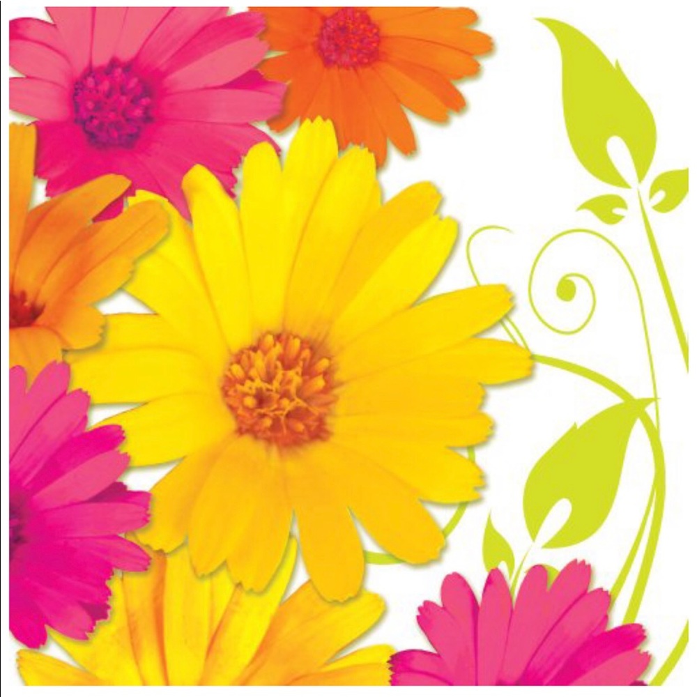 Daisy Scroll 2-ply Paper Luncheon Napkins, 18 ct